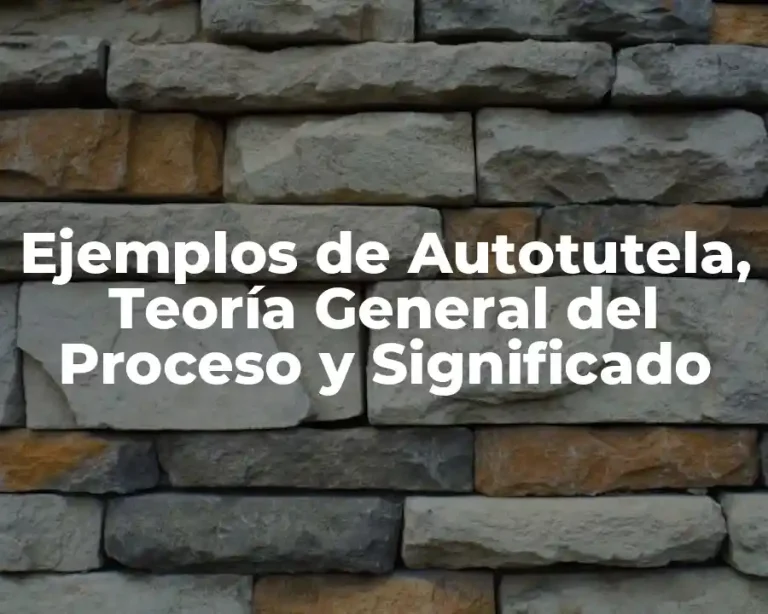 Ejemplos de Autotutela, Teoría General del Proceso y Significado