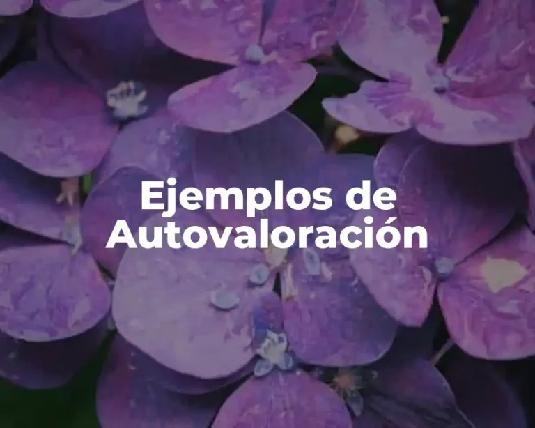 Ejemplos de Autovaloración