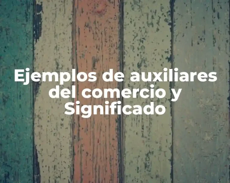 Ejemplos de auxiliares del comercio y Significado