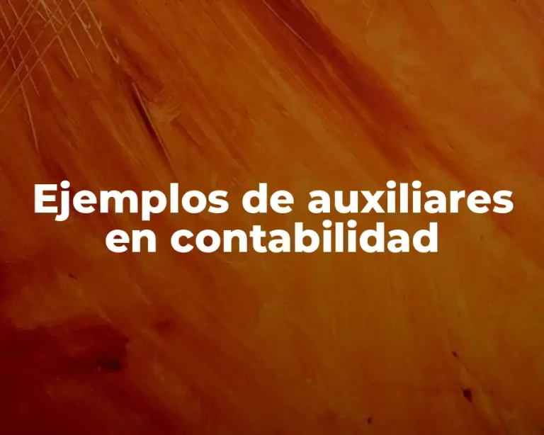 Ejemplos de auxiliares en contabilidad
