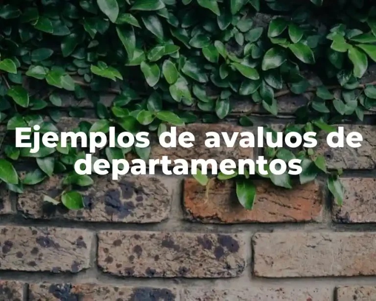 Ejemplos de avaluos de departamentos