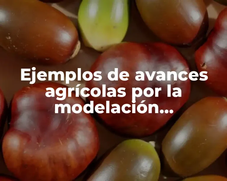 Ejemplos de avances agrícolas por la modelación matemática