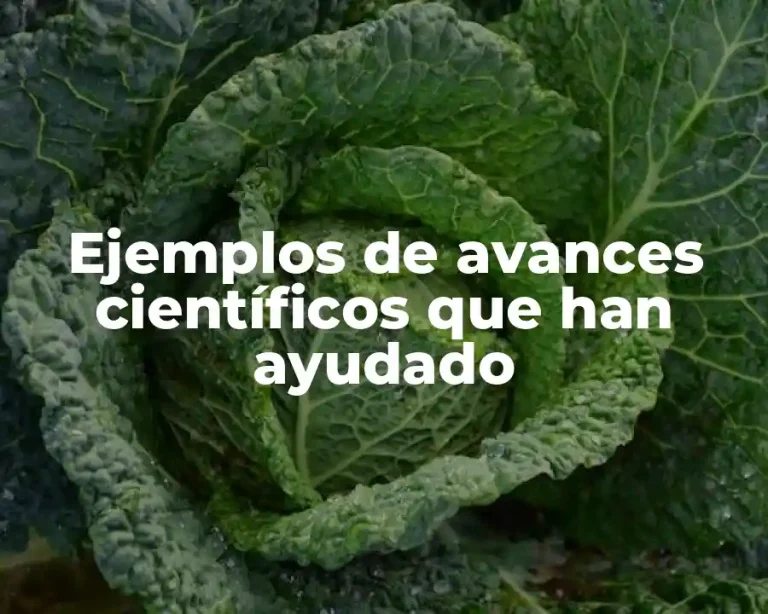 Ejemplos de avances científicos que han ayudado