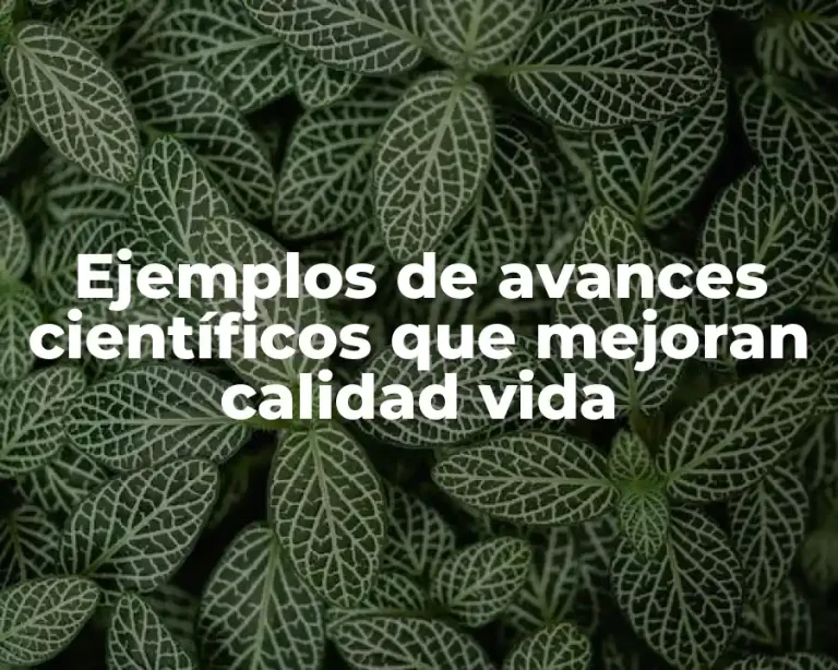 Ejemplos de avances científicos que mejoran calidad vida
