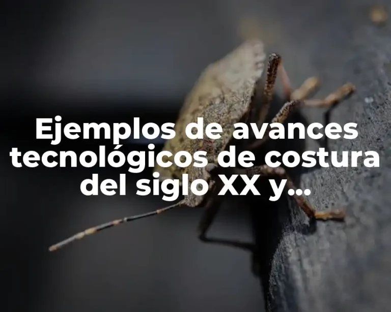 Ejemplos de avances tecnológicos de costura del siglo XX y Significado