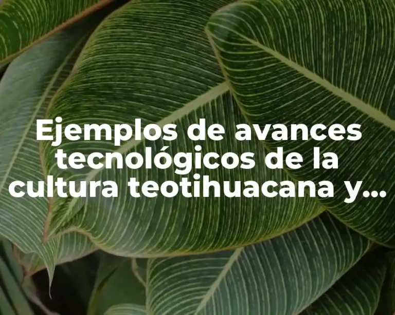 Ejemplos de avances tecnológicos de la cultura teotihuacana y Significado