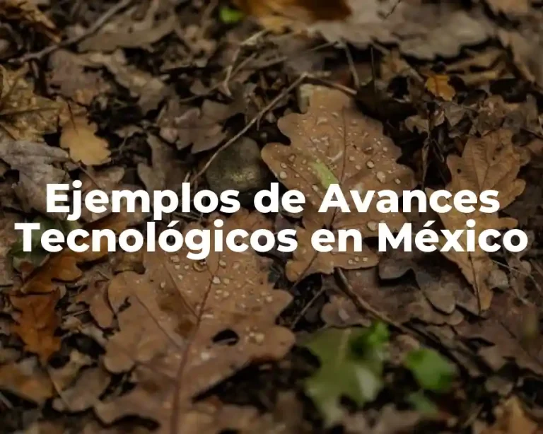 Ejemplos de Avances Tecnológicos en México