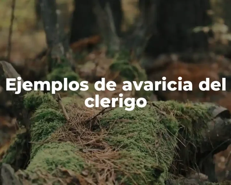 Ejemplos de avaricia del clerigo