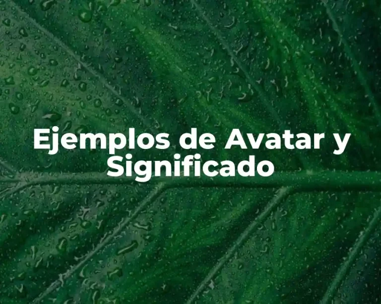 Ejemplos de Avatar y Significado