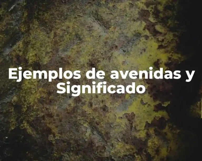 Ejemplos de avenidas y Significado