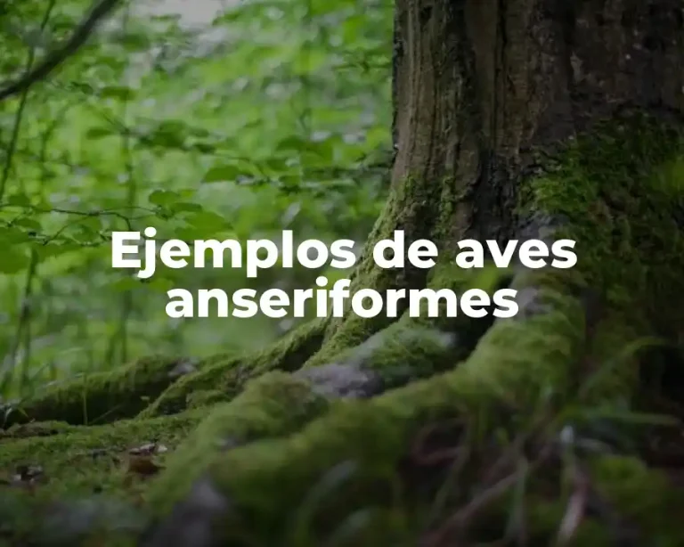 Ejemplos de aves anseriformes