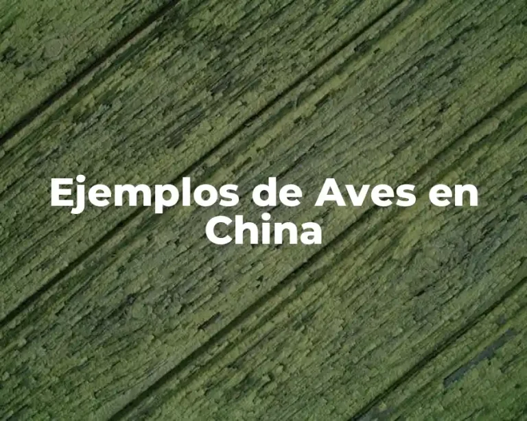 Ejemplos de Aves en China