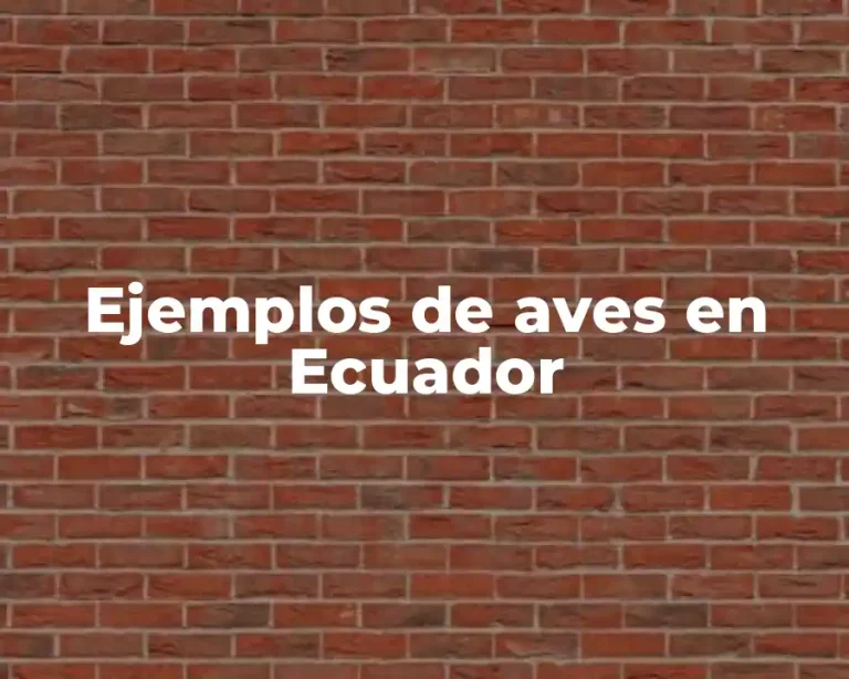 Ejemplos de aves en Ecuador
