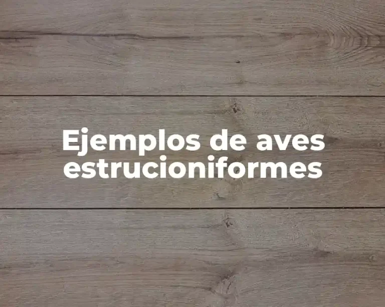 Ejemplos de aves estrucioniformes