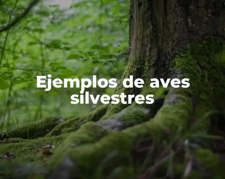 Ejemplos de aves silvestres