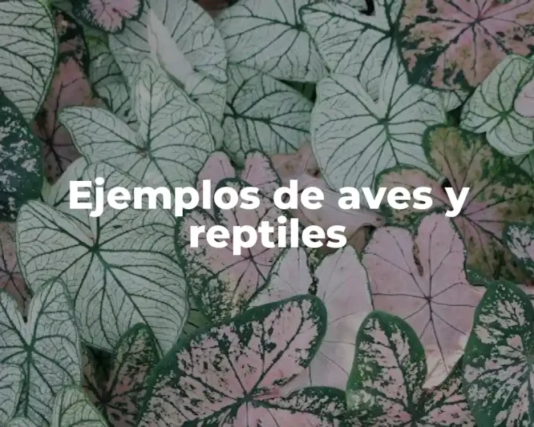 Ejemplos de aves y reptiles