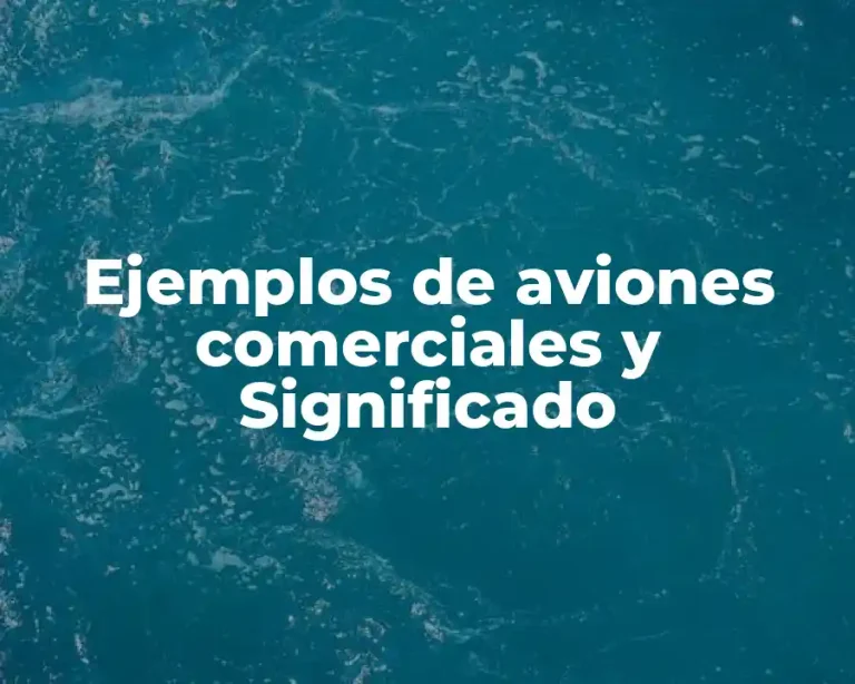 Ejemplos de aviones comerciales y Significado