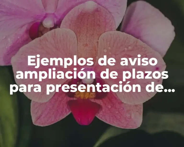 Ejemplos de aviso ampliación de plazos para presentación de inconformidad
