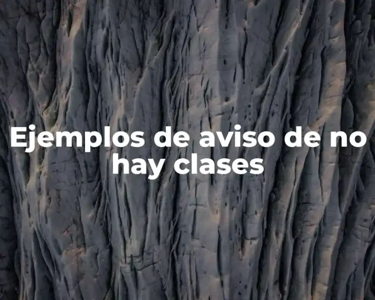 Ejemplos de aviso de no hay clases