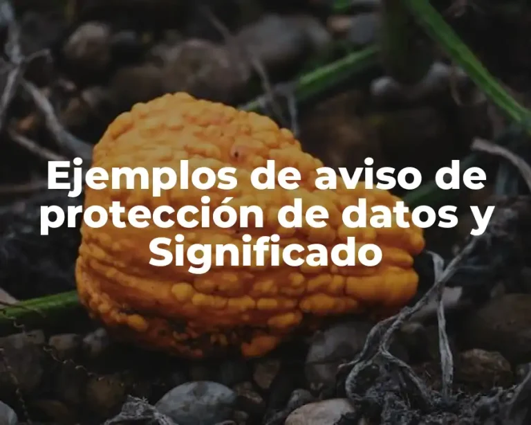 Ejemplos de aviso de protección de datos y Significado
