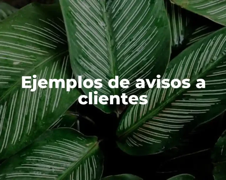 Ejemplos de avisos a clientes