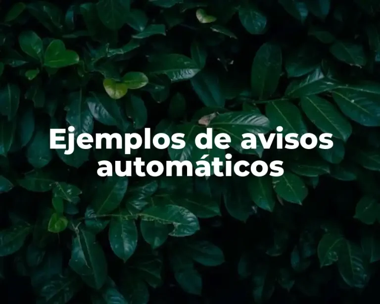 Ejemplos de avisos automáticos
