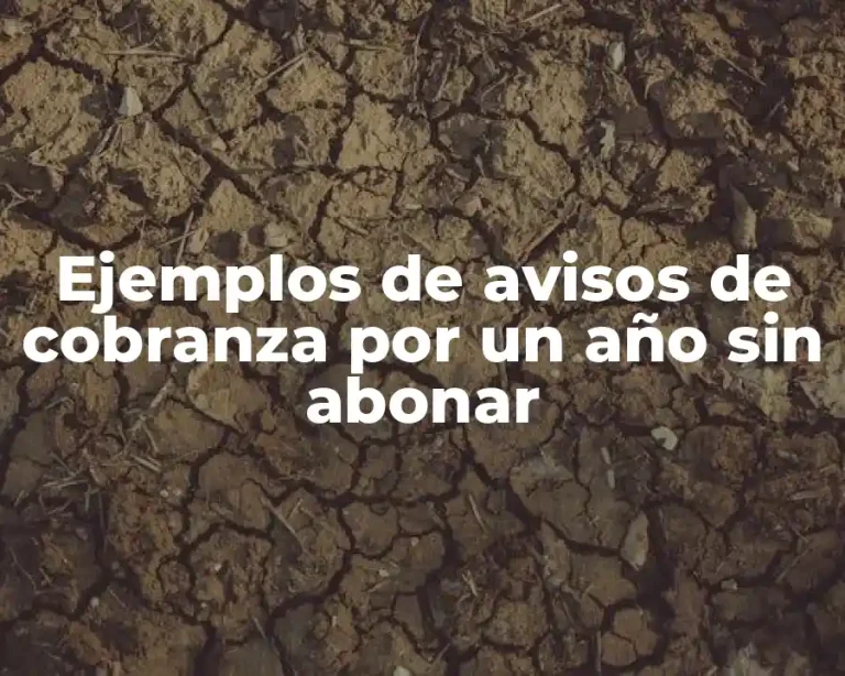 Ejemplos de avisos de cobranza por un año sin abonar