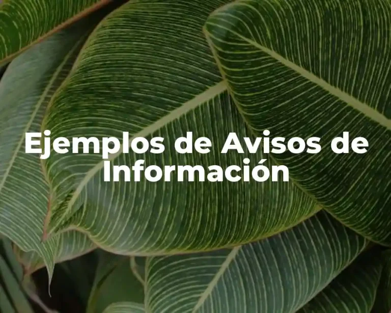 Ejemplos de Avisos de Información
