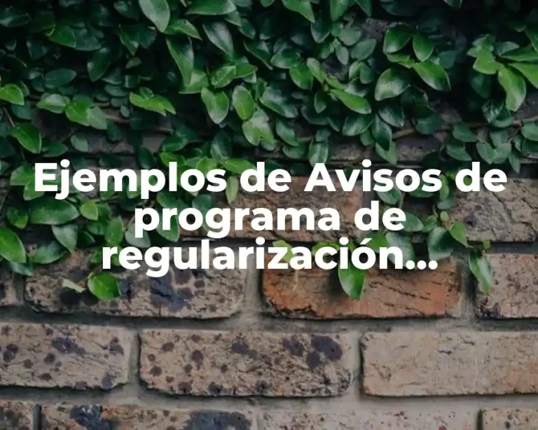 Ejemplos de Avisos de programa de regularización antilavado