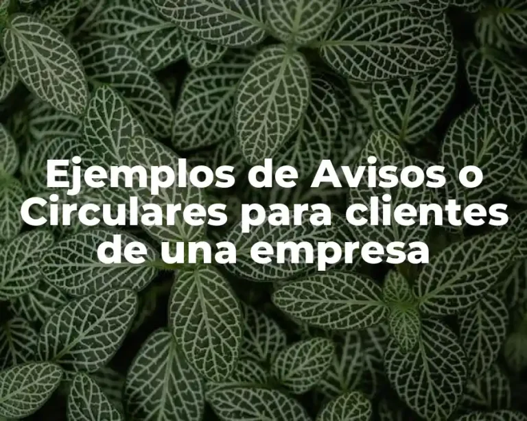 Ejemplos de Avisos o Circulares para clientes de una empresa