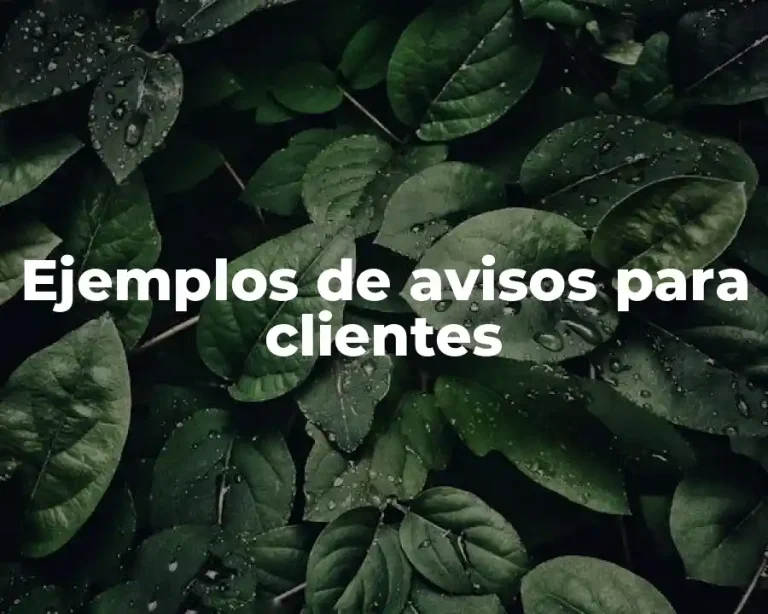 Ejemplos de avisos para clientes