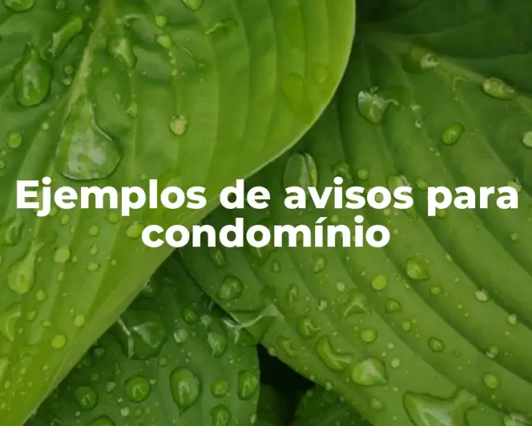 Ejemplos de avisos para condomínio