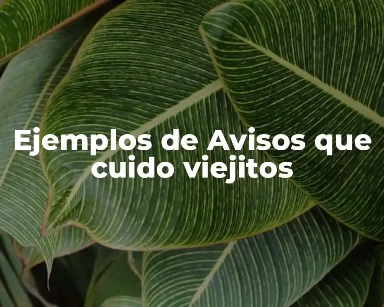 Ejemplos de Avisos que cuido viejitos