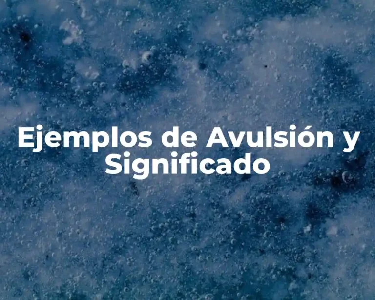 Ejemplos de Avulsión y Significado