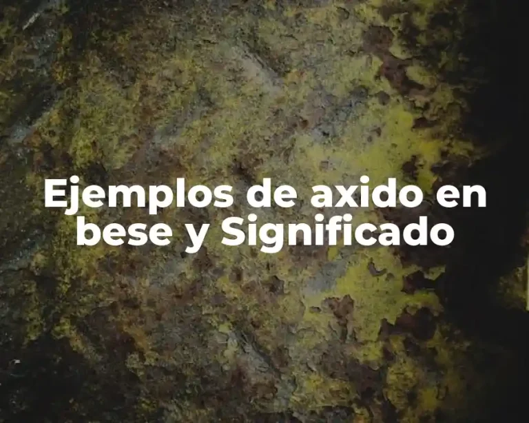 Ejemplos de axido en bese y Significado