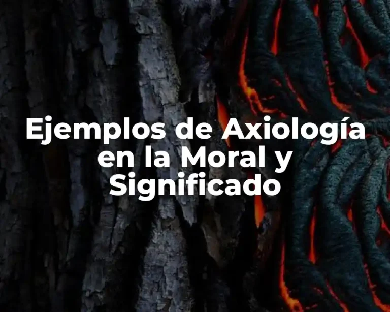 Ejemplos de Axiología en la Moral y Significado