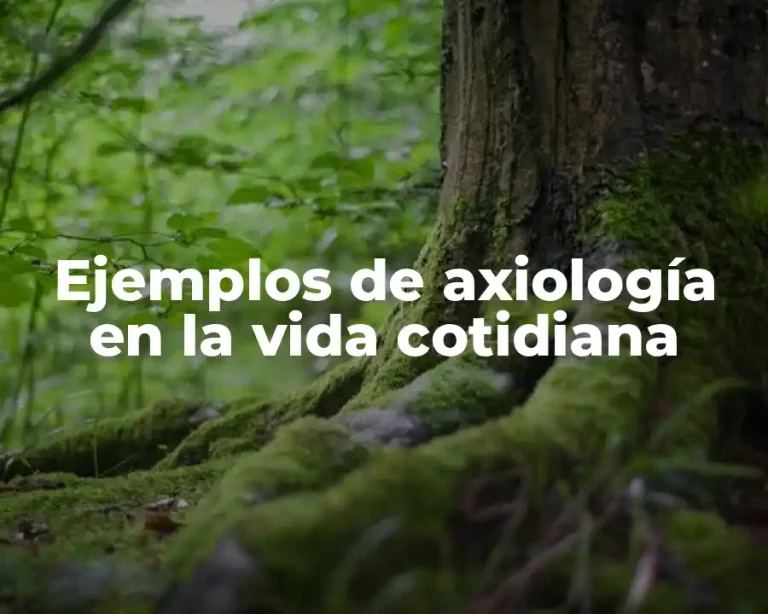 Ejemplos de axiología en la vida cotidiana