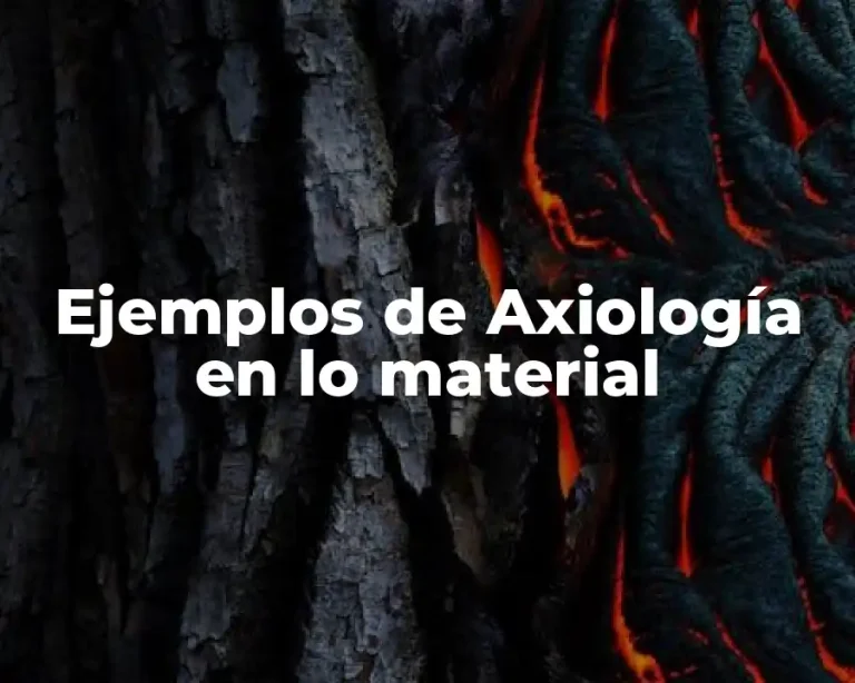 Ejemplos de Axiología en lo material