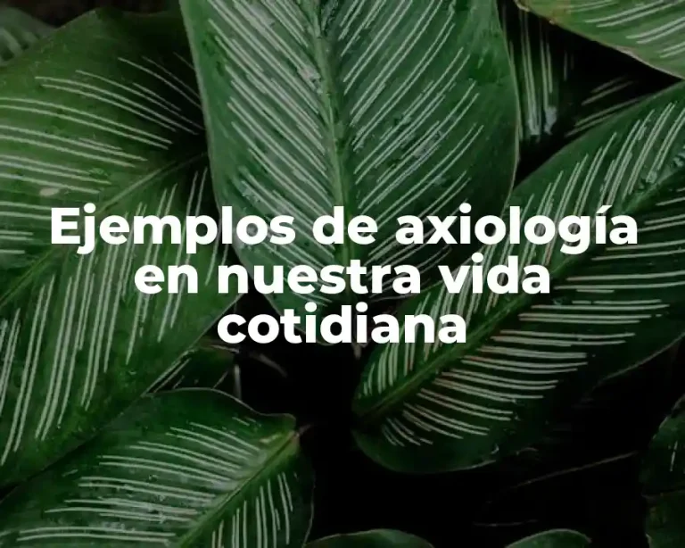 Ejemplos de axiología en nuestra vida cotidiana