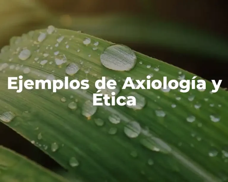 Ejemplos de Axiología y Ética