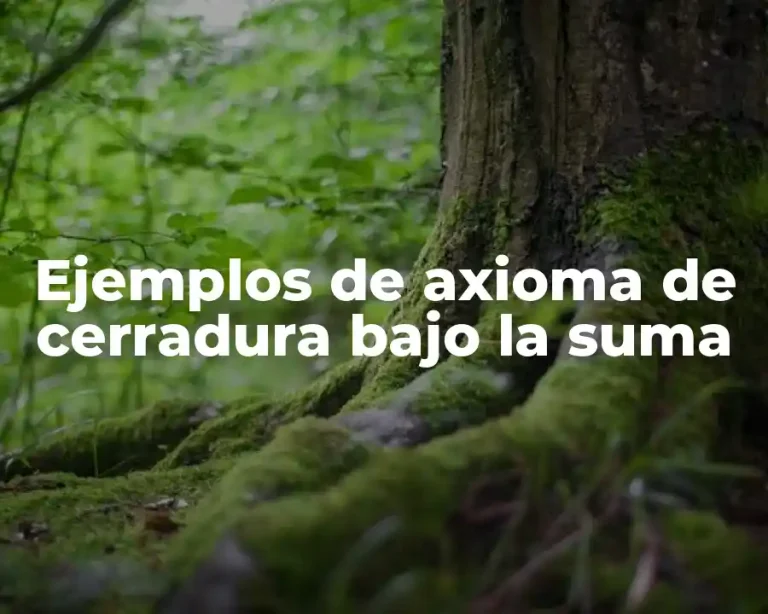 Ejemplos de axioma de cerradura bajo la suma