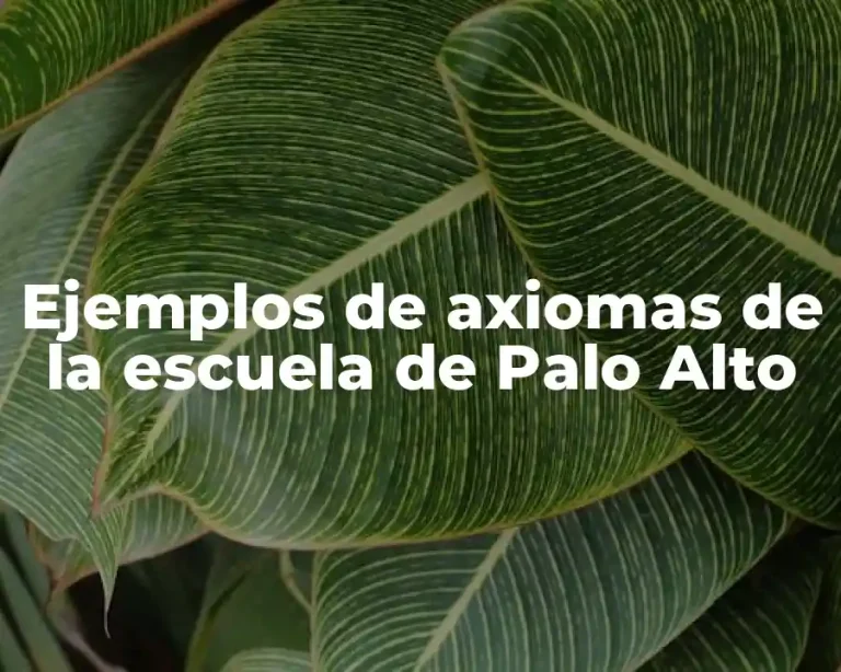Ejemplos de axiomas de la escuela de Palo Alto