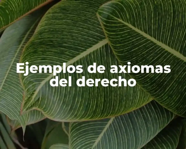 Ejemplos de axiomas del derecho
