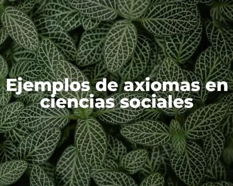 Ejemplos de axiomas en ciencias sociales