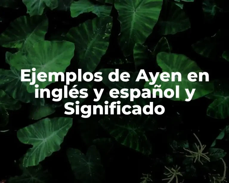 Ejemplos de Ayen en inglés y español y Significado