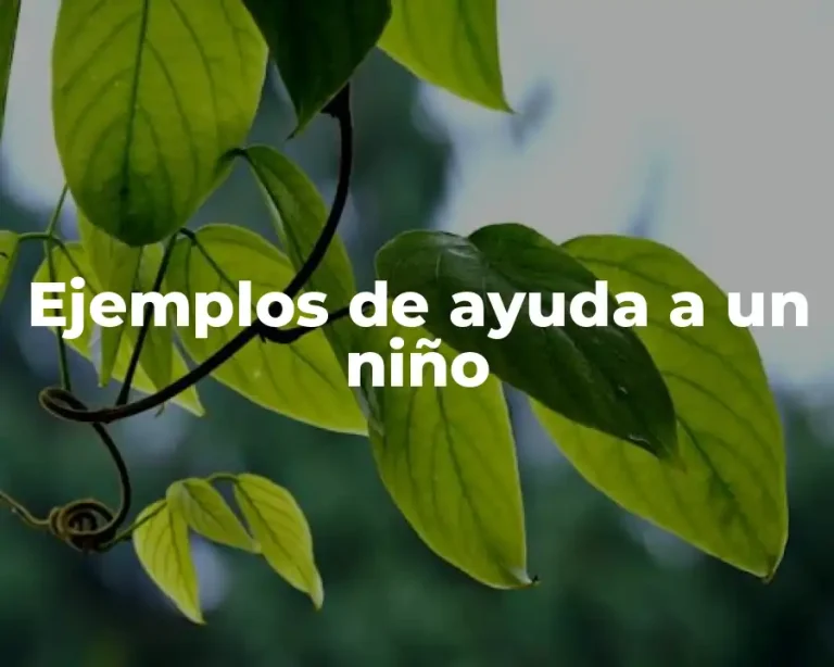 Ejemplos de ayuda a un niño