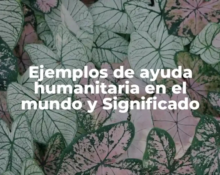 Ejemplos de ayuda humanitaria en el mundo y Significado