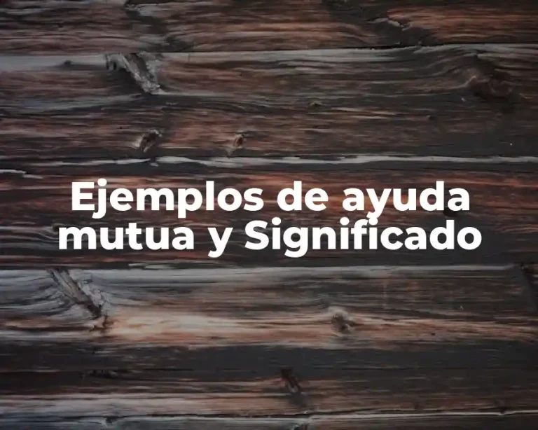 Ejemplos de ayuda mutua y Significado