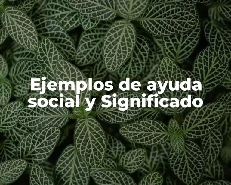 Ejemplos de ayuda social y Significado