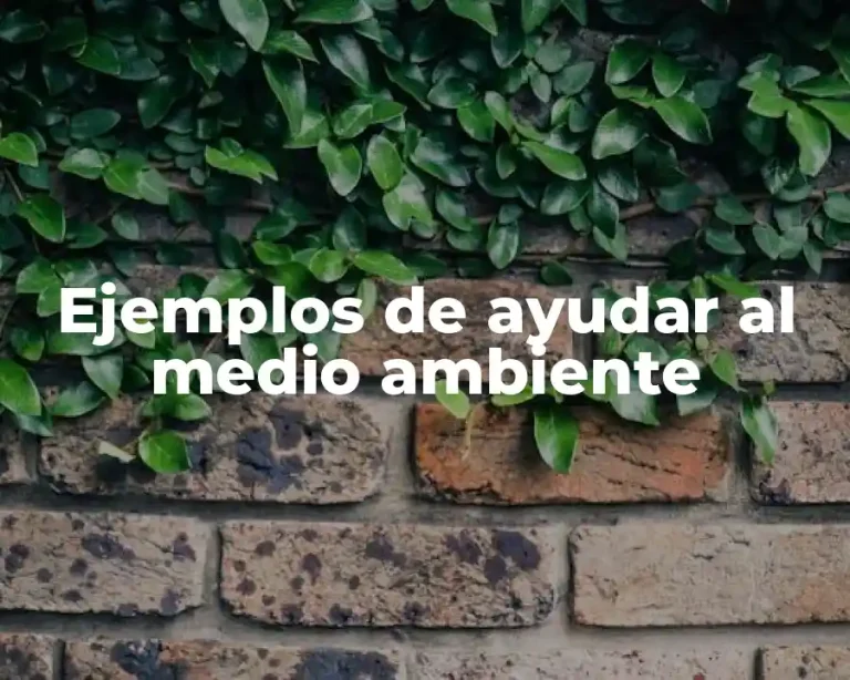 Ejemplos de ayudar al medio ambiente